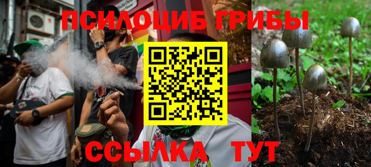 Галлюциногенные грибы Cubensis Усолье-Сибирское